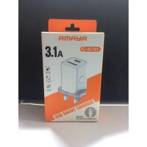 Amaya AC101 3.1A USB Smart Charger with Micro USB Cable