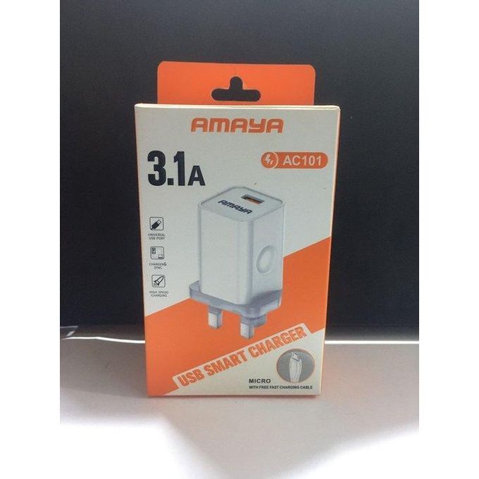 Amaya AC101 3.1A USB Smart Charger with Micro USB Cable