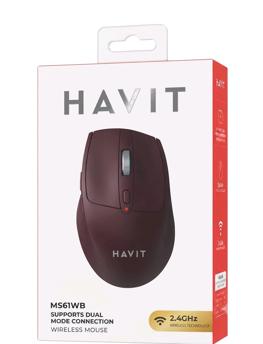 Havit MS61WB Dual Mode Wireless Mouse